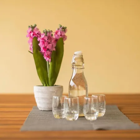 Tommy Privlaka (Zadar)