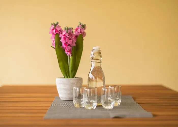 Tommy Privlaka (Zadar)